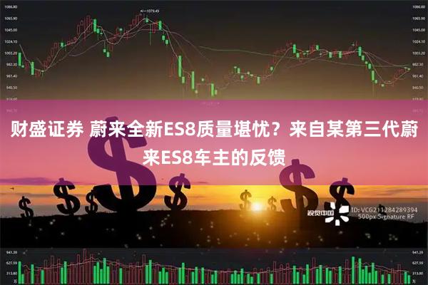 财盛证券 蔚来全新ES8质量堪忧？来自某第三代蔚来ES8车主的反馈